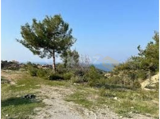 Satılık 11 Dönüm Arazi, Girne Esentepe Bölgesi