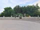 Çatalköy’de satılık 6+1 villa , 1 dönümün içinde bahçeli villa !!!!