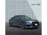 2020 Model Otomatik Audi RS