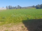 İSKELE/GELİNCİK KÖYÜ’NDE SATILIK İMARLI ARSA – 7.900 m²