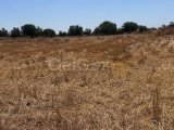Tatlısu'da satılık arsa