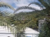 Girne Bellapais bölgesinde satılık 3+1 villa