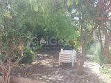 Girne Bellapais bölgesinde satılık 3+1 villa