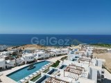 Esentepe'de çatı katında özel yüzme havuzlu 3+1 loft lüks, modern çatı katı dairesi