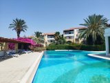 Girne merkezde Havuzlu site içinde kiralık full eşyalı 1+1 daire
