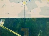 GAZİMAĞUSA/PAŞAKÖY'DE SATILIK TARLALAR