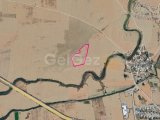GAZİMAĞUSA/KURUDERE'DE SATILIK TARLA