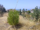 GİRNE BELLAPAİS ESK BÖLGESİNDE TÜRK KOÇANLI SATILIK ARSA