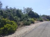 GİRNE BELLAPAİS ESK BÖLGESİNDE TÜRK KOÇANLI SATILIK ARSA