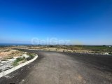 GÜZELYURT/CENGİZKÖY'DE SATILIK ARSALAR