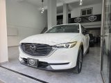 MAZDA CX 8 BEYAZ 7 KISILIK