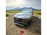 2022 CX-5 SPORTS APPEARANCE