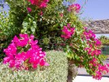 GİRNE/ALSANCAK'TA SATILIK 2+1 LÜKS DAİRE