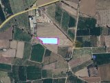 GÜZELYURT ELEKTRİK SANTRALİ BÖLGESİNDE SATILIK 4,5 DÖNÜM TARLA