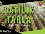 GAZİMAĞUSA/ÇAYÖNÜ BÖLGESİNDE SATILIK TARLA