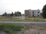 Lefkoşa Haspolat'ta Eşdeğer Koçanlı Villalık Arazi