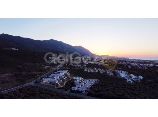 TERRA HILL