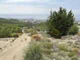 Türk Malı Araziler Çatalköy Çeşitli m² ve Büyüklükte Her Bütçeye Göre Araziler