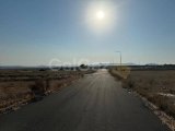 Gönyeli Türkeli 65000 Stg Den Başlayan Fiyatlarla Kaçırılmaz Şans