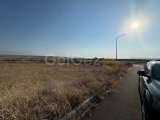 Gönyeli Türkeli 65000 Stg Den Başlayan Fiyatlarla Kaçırılmaz Şans