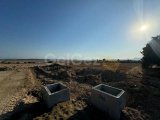 Gönyeli Türkeli 65000 Stg Den Başlayan Fiyatlarla Kaçırılmaz Şans