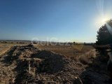 Gönyeli Türkeli 65000 Stg Den Başlayan Fiyatlarla Kaçırılmaz Şans