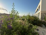 Lüks Tatil Sitesinde Deniz Kenarında Modern Bahçeli Stüdyo