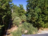 Ozanköy'de 4 Yatak Odalı Yepyeni Modern Tasarım Villa + Özel Havuz + Çatı Terası + Geniş Arsa Boyutu