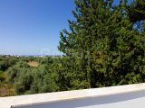 Ozanköy'de 4 Yatak Odalı Yepyeni Modern Tasarım Villa + Özel Havuz + Çatı Terası + Geniş Arsa Boyutu