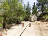 Bellapais'te Havuzlu Site İçerisinde Çatı Teraslı ve Ful Eşyalı 4+1 İkiz Villa