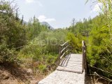 Bellapais'te Havuzlu Site İçerisinde Çatı Teraslı ve Ful Eşyalı 4+1 İkiz Villa