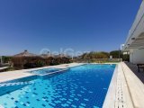 Gaziveren'de Denize Sıfır Satılık Türk Koçanlı 1+1 Eşyasız Daire