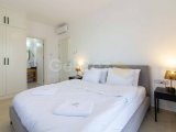 2 yatak odalı modern penthouse daire + ödüllü butik otel ve şarap çiftliğinin bir parçası + ortak yüzme havuzu + spor salonu + kafe + sauna + çocuk oyun alanı +