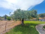 Çatalköy'de Geniş Arsa Üzerinde, Başka Bir Mülk İnşa Etmek İçin İdeal, Modern Tasarımlı 4+1 Villa