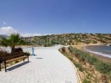 Alagadi köyünde 3 yatak odalı villa