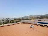 3 yatak odalı teras ev + full eşyalı + 18m x 6m ortak havuz + klima + mutfak aletleri + Sahipleri adına tapu KDV ödenmiş