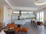 5 - 7 yatak odalı Lüks villa + 11m x 5m havuz + denize sıfır konum + full eşyalı + asansör + merkezi ısıtma + en iyi özellikler + Sahibinin adına tapu KDV ödenm