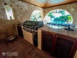 3/4 Yatak Odalı Lüks Villa + 2/3 Yatak Odalı Köy Evi + Şelaleli L Şeklinde Havuz + Klima + Yerden Isıtma + Isı Pompası + Invicta Kütük Brülörü + Corian Tezgahlı