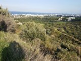 13 Acres of Land for sale in Zeytinlik (17,480m2) TURKISH TITLE DEED