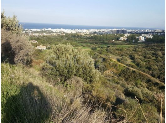 13 Acres of Land for sale in Zeytinlik (17,480m2) TURKISH TITLE DEED