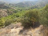 13 Acres of Land for sale in Zeytinlik (17,480m2) TURKISH TITLE DEED