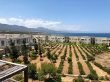Satılık Tarla - Zeytinlik, Girne, Kuzey Kıbrıs Kıbrıs Türk tapusu olan ve 13 kilometre ve 1 evlek (17,480 m2) büyüklüğünde önemli bir arazi parselini satın alma