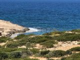 Satılık Tarla - Zeytinlik, Girne, Kuzey Kıbrıs Kıbrıs Türk tapusu olan ve 13 kilometre ve 1 evlek (17,480 m2) büyüklüğünde önemli bir arazi parselini satın alma
