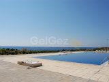 Satılık Tarla - Zeytinlik, Girne, Kuzey Kıbrıs Kıbrıs Türk tapusu olan ve 13 kilometre ve 1 evlek (17,480 m2) büyüklüğünde önemli bir arazi parselini satın alma