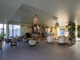 2 yatak odalı Seaside Luxury Loft çatı katı + yepyeni + ikinci el + çatı terası + ortak yüzme havuzu + yürüme mesafesinde plaj + gelecekteki yat marinası