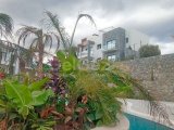 Modern ve lüks 3 yeniden satış penthouse daire + tam donanımlı + ortak yüzme havuzu + çocuk oyun alanı + muhteşem deniz ve dağ manzarası