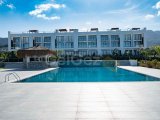 Zemin kattaki ikinci el şık stüdyo daire + tam mobilyalı + sahilde konum + olimpik büyüklükte üçlü yüzme havuzu + bio çiftlik + ısıtmalı kapalı havuz + çok sayı