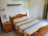 BİREYSEL TÜRK TAPUSU - Çatalköy'ün Kalbinde Çarpıcı Tamamen Yenilenmiş 3 Yatak Odalı Lüks ‘Taş’ Villa + Özel Havuz + Çevreleyen Bahçeler + Panoramik Deniz v