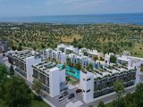 Modern stüdyo plan daireler + ortak havuzlar + kapalı ısıtmalı havuz + havuz barı + restoranlar + spa & sağlık merkezi + spor salonu + jeneratör + güvenlik ve C