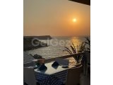 Modern stüdyo plan daireler + ortak havuzlar + kapalı ısıtmalı havuz + havuz barı + restoranlar + spa & sağlık merkezi + spor salonu + jeneratör + güvenlik ve C